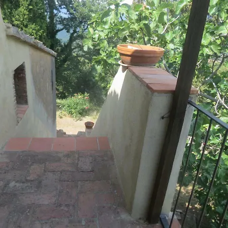 Il Gelso Massa Marittima