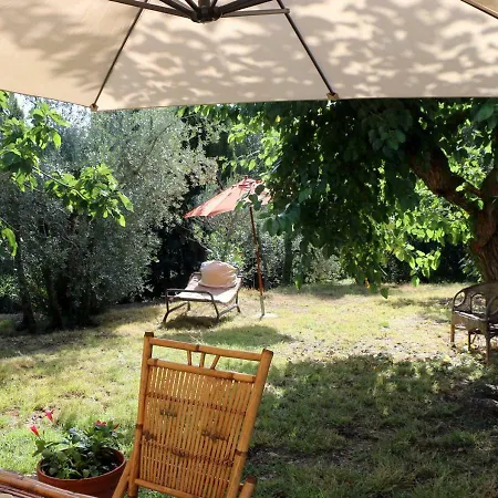 Apartment Il Gelso Massa Marittima
