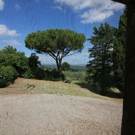Il Gelso * Massa Marittima